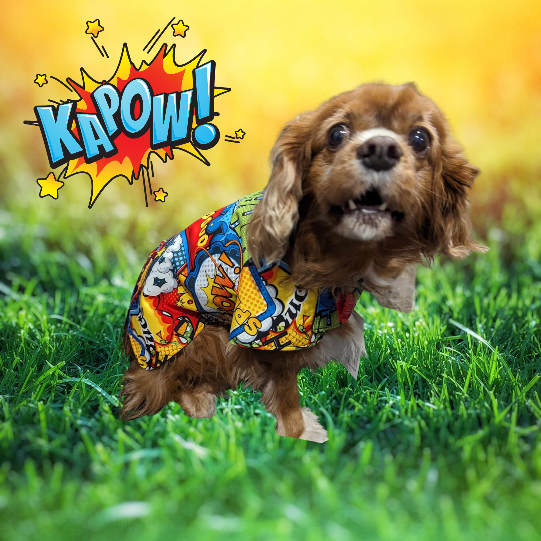 Kapow Pop Art Dog Coat