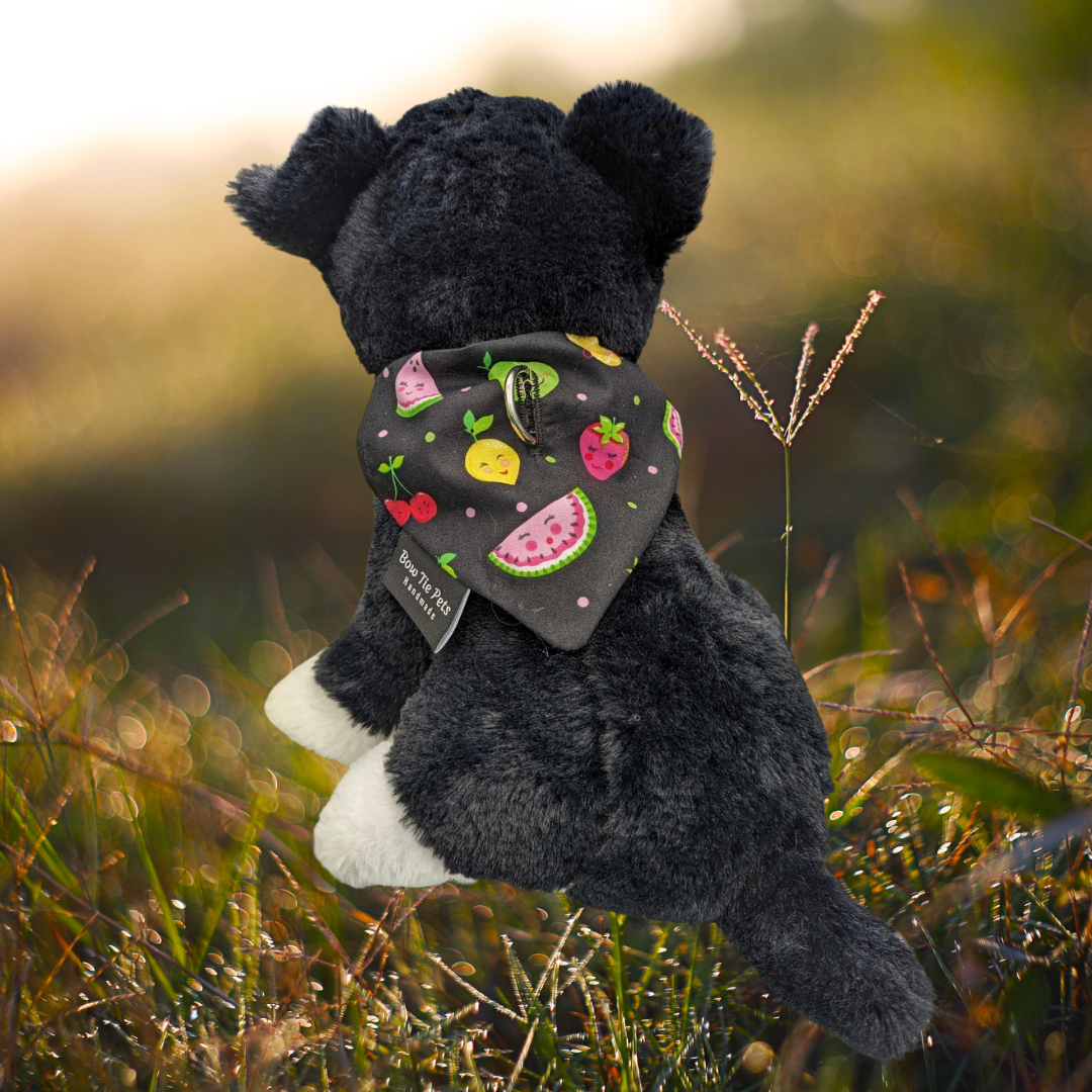 Fruit Salad Smiles On Collar Bandana