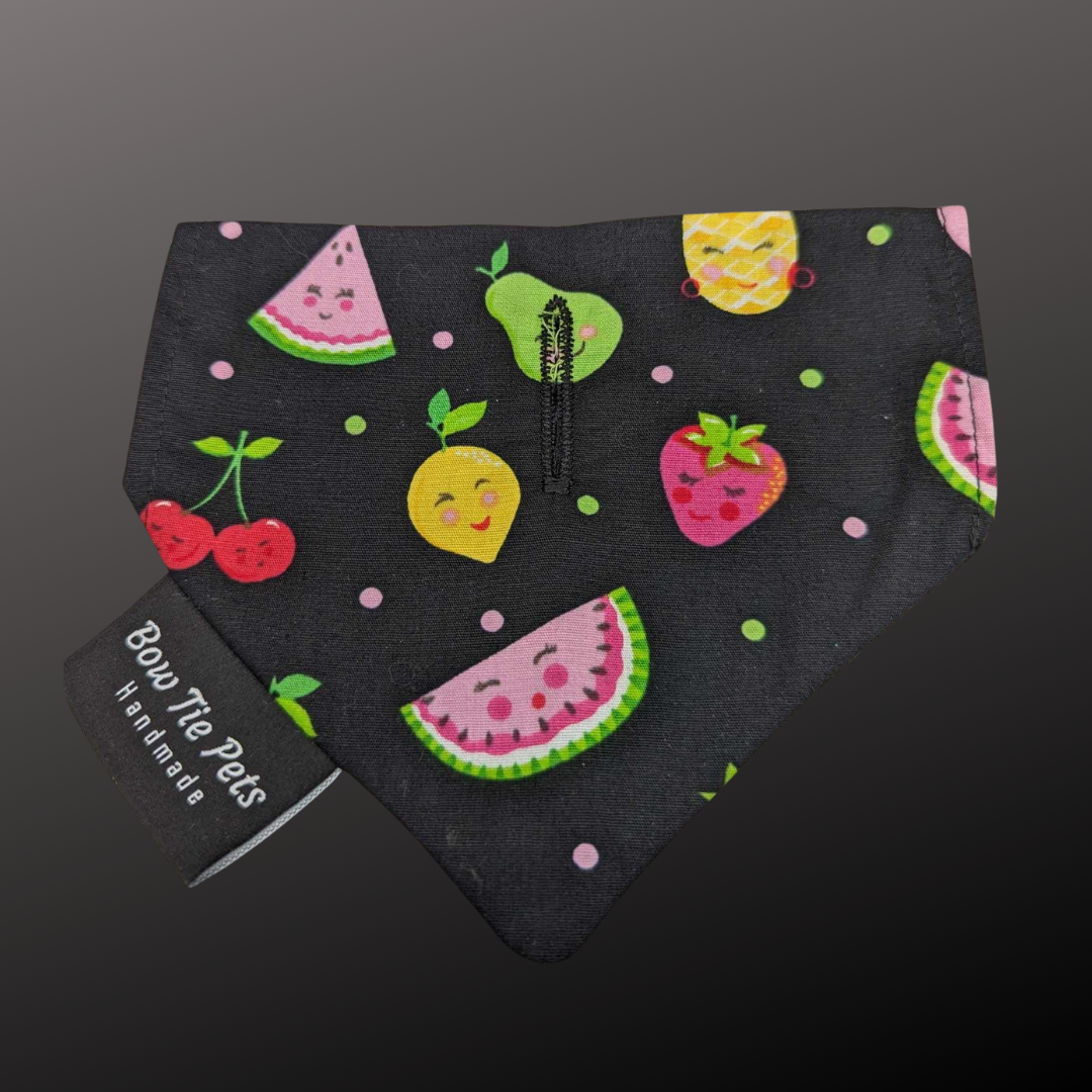 Fruit Salad Smiles On Collar Bandana