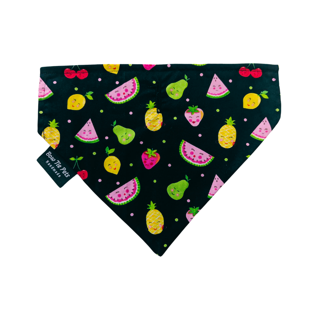 Fruit Salad Smiles On Collar Bandana