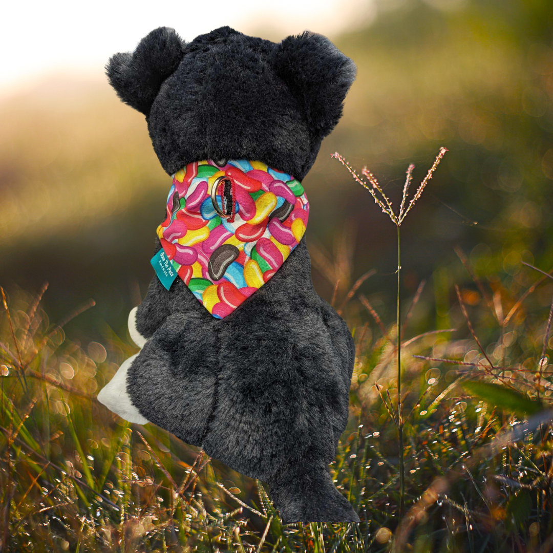 Jellybeans On Collar Bandana